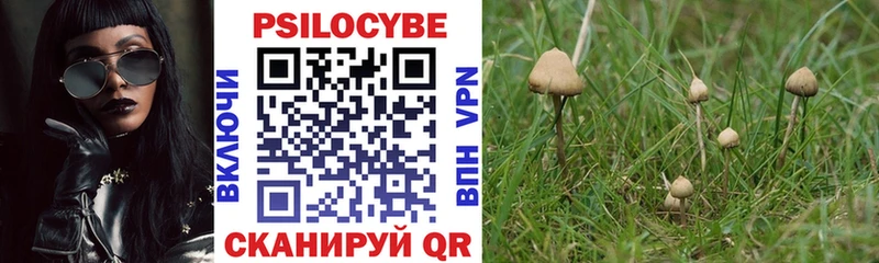 Галлюциногенные грибы мухоморы  цена   Шенкурск 