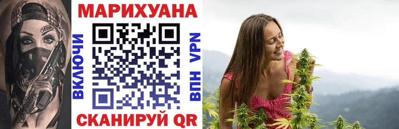 как найти   Шенкурск  Каннабис OG Kush 